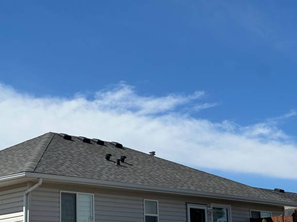 Best Steel Roofing  in La Grange, IL
